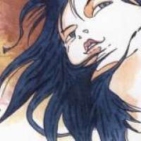   Cosmos Flower <small>Story & Art</small> 